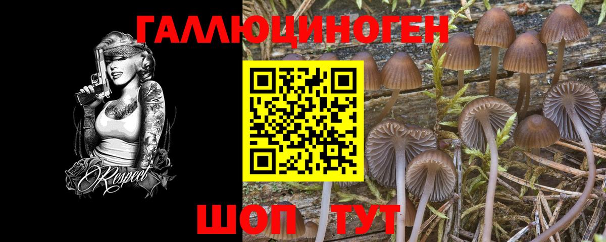 Галлюциногенные грибы Cubensis  Галлюциногенные грибы Magic Shrooms  Вход с VPN  Петропавловск-Камчатский 